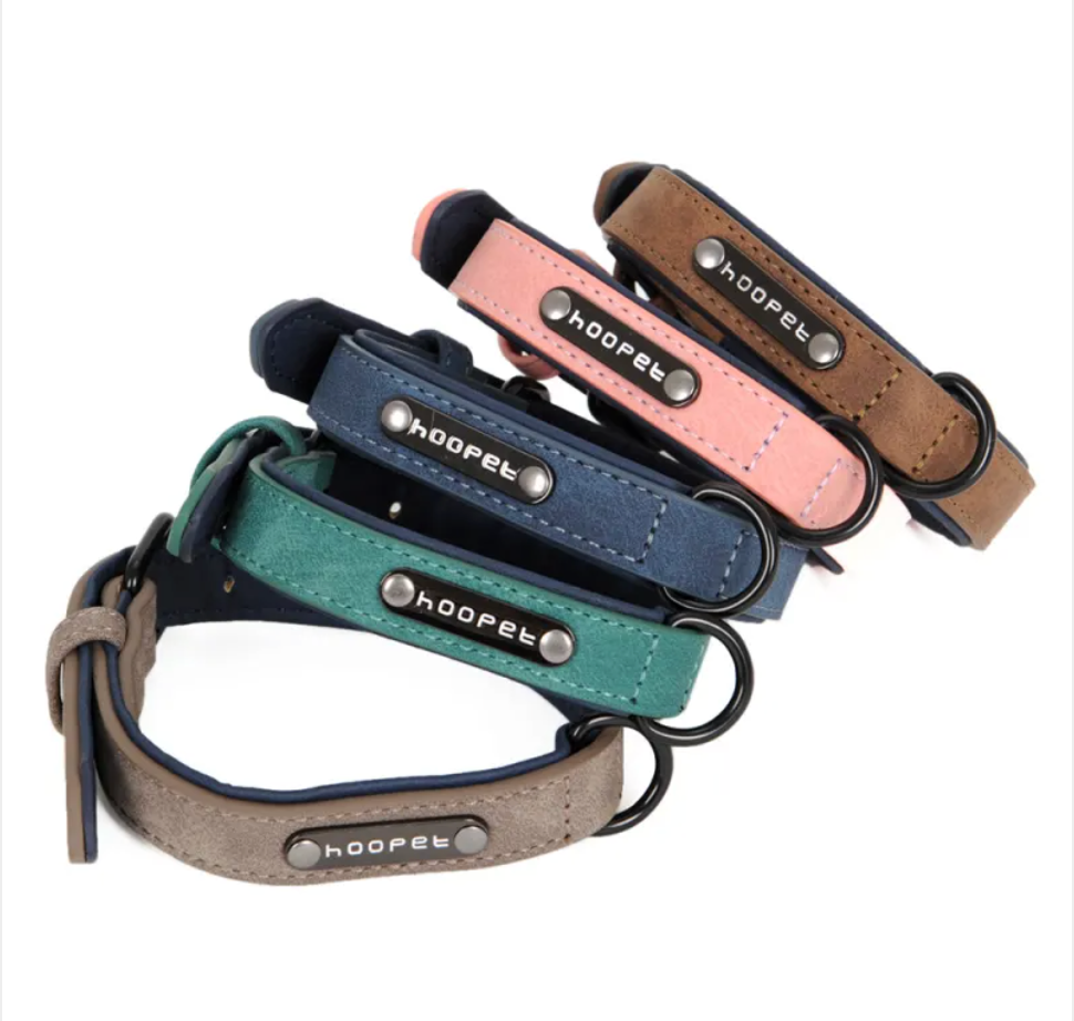 Adjustable Dog Collar & Leash Set – Durable Everyday Walking Set