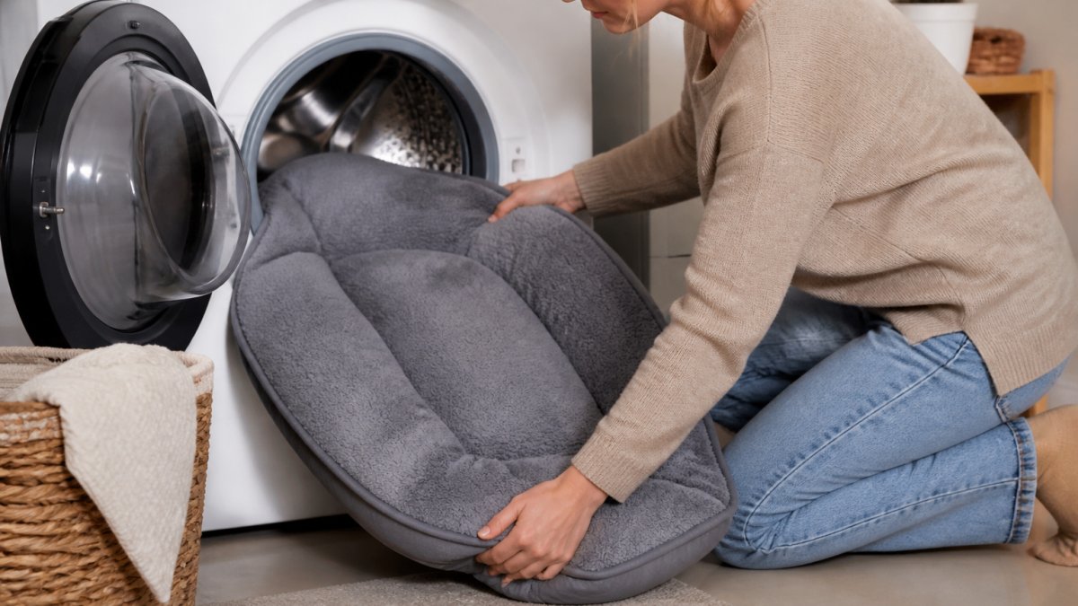 Is a Washable Dog Bed Worth It? 2026 Guide