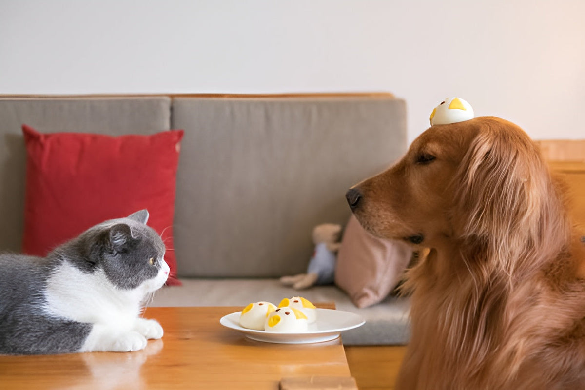 Pet Supplies