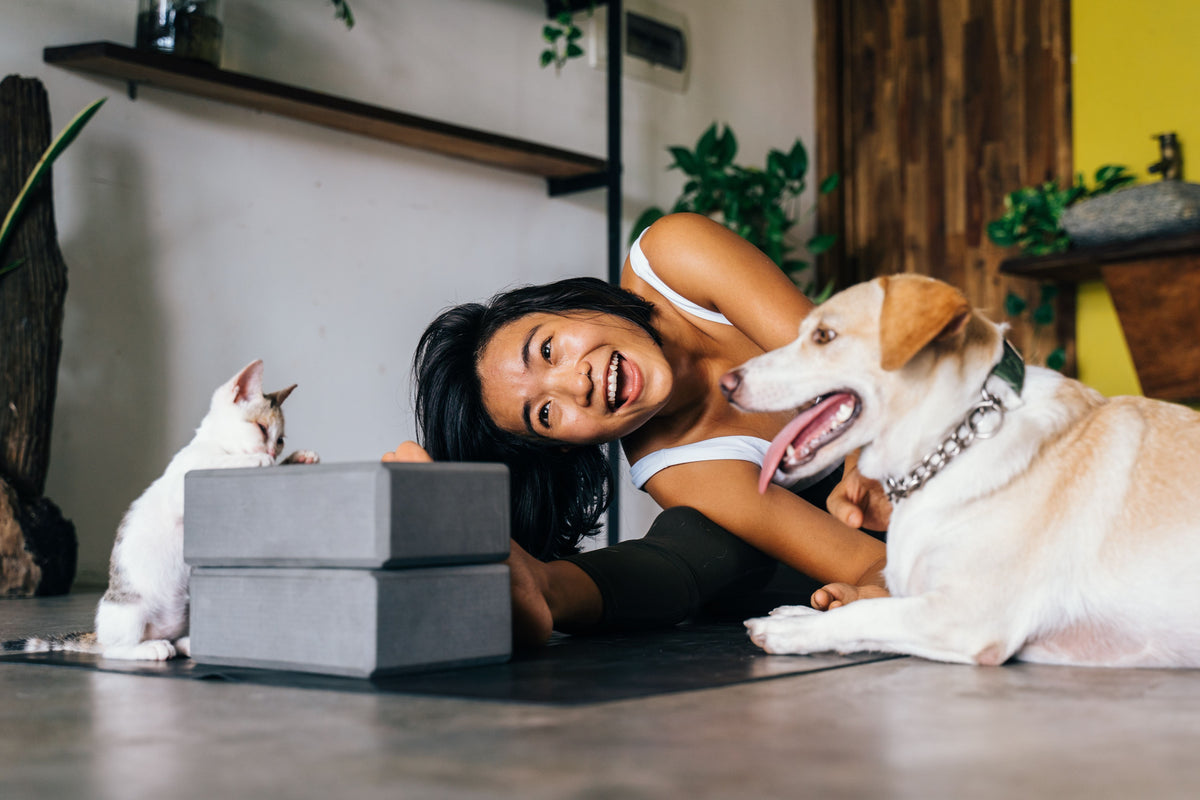 Gifts for Pet Lovers