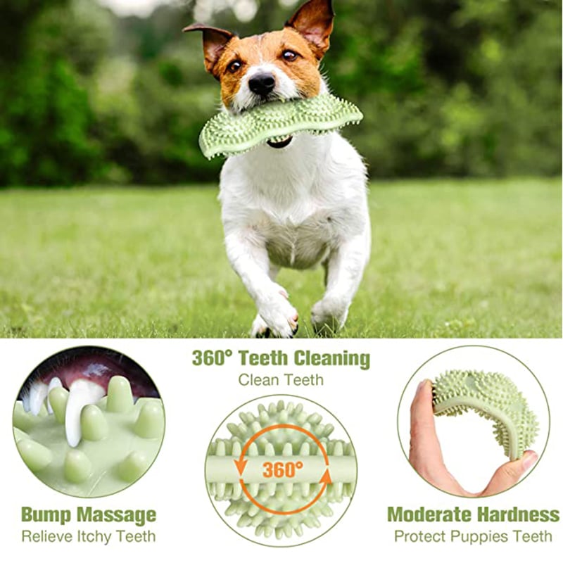 ChewPro Durable Dog Toy Ball
