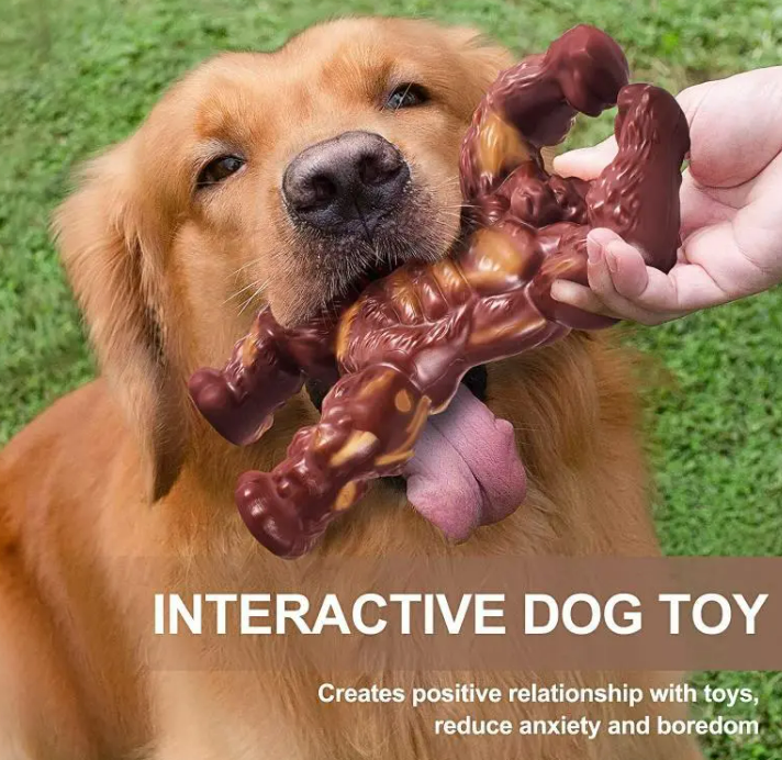 Beef-Flavored Nylon Dog Chew Toy – Durable Molar &amp; Teeth Cleaner