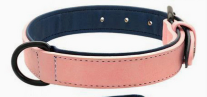 Adjustable Dog Collar &amp; Leash Set – Durable Everyday Walking Set