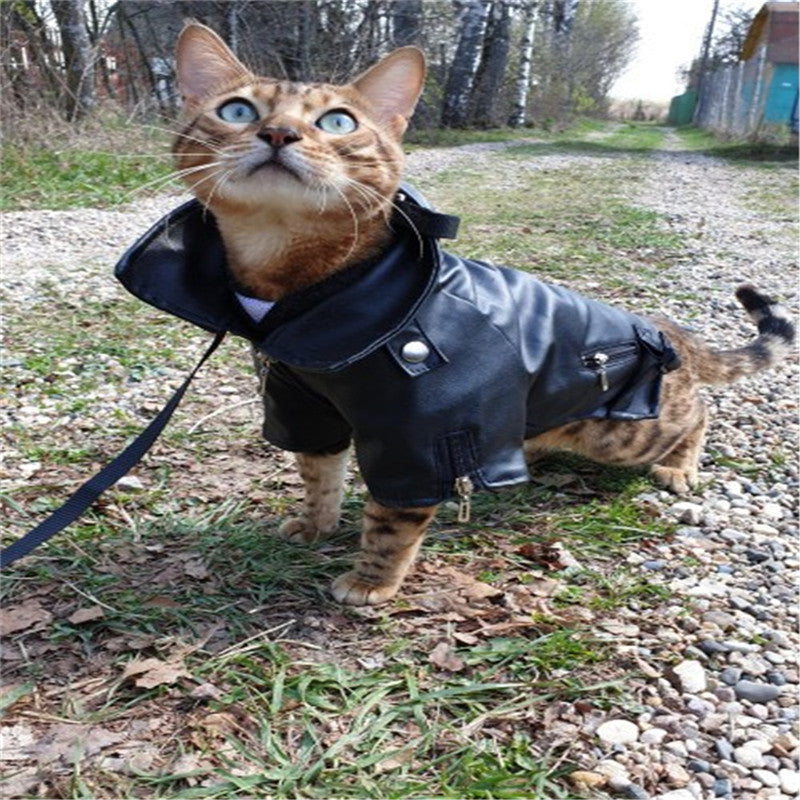 Chic Embroidered PU Leather Dog Jacket