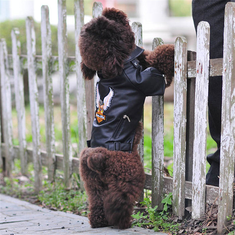 Chic Embroidered PU Leather Dog Jacket